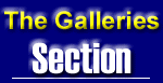 The Galleries Section