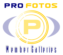 Profotos Member Photographer Galleries