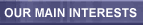 Our Main Interests