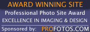 Winner of the Profotos Pro Site Award